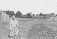 Ogórki w ogrodzie Bezekowiczów, 1956